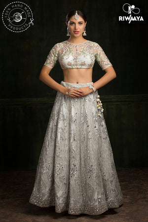 Designer lehenga choli dress